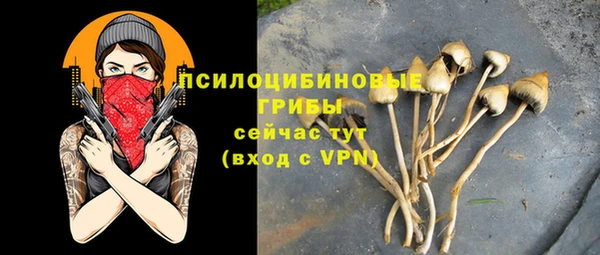 jwh Абаза